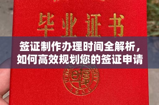 庐江签证制作办理时间全解析，如何高效规划您的签证申请流程