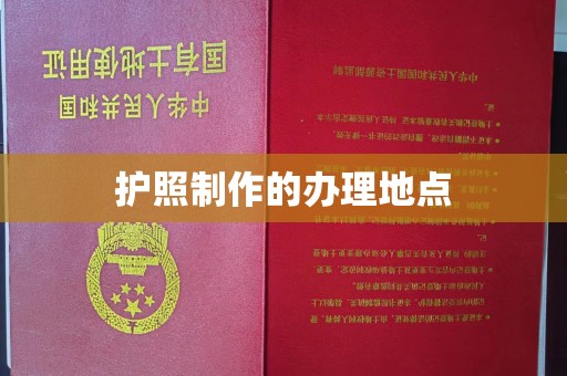 庐江护照制作的办理地点