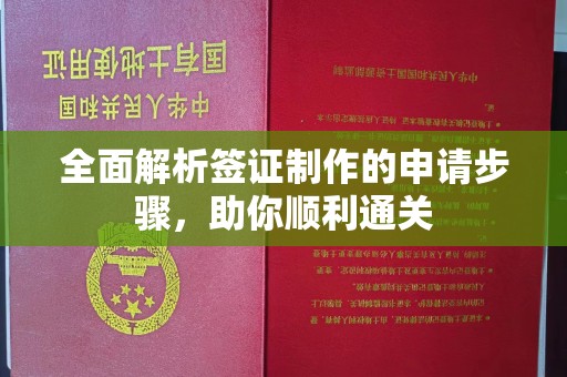 庐江全面解析签证制作的申请步骤，助你顺利通关