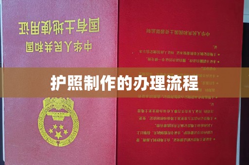 庐江护照制作的办理流程